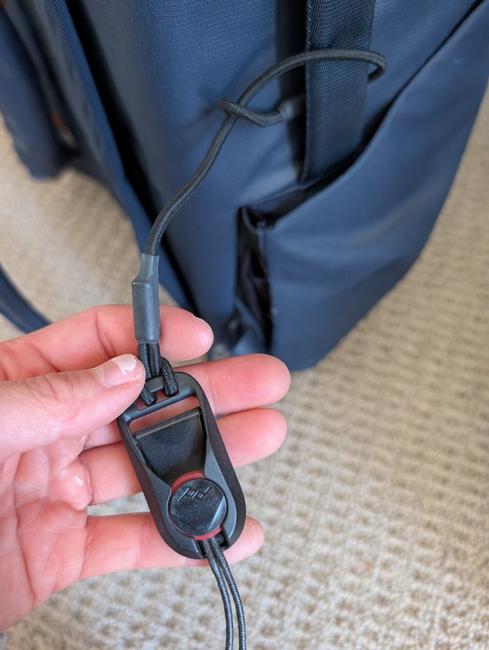 Peak Design Everyday Backpack Zip 15L? - Picture 4 of 10